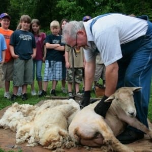 Shearing_Demonstration_Thumbnail